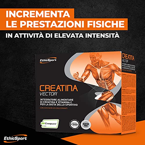 EthicSport - Creatina Vector - Confezione da 20 buste x 8 g - Integratore alimentare di Creatina e Vitamina C per la dieta dello sportivo