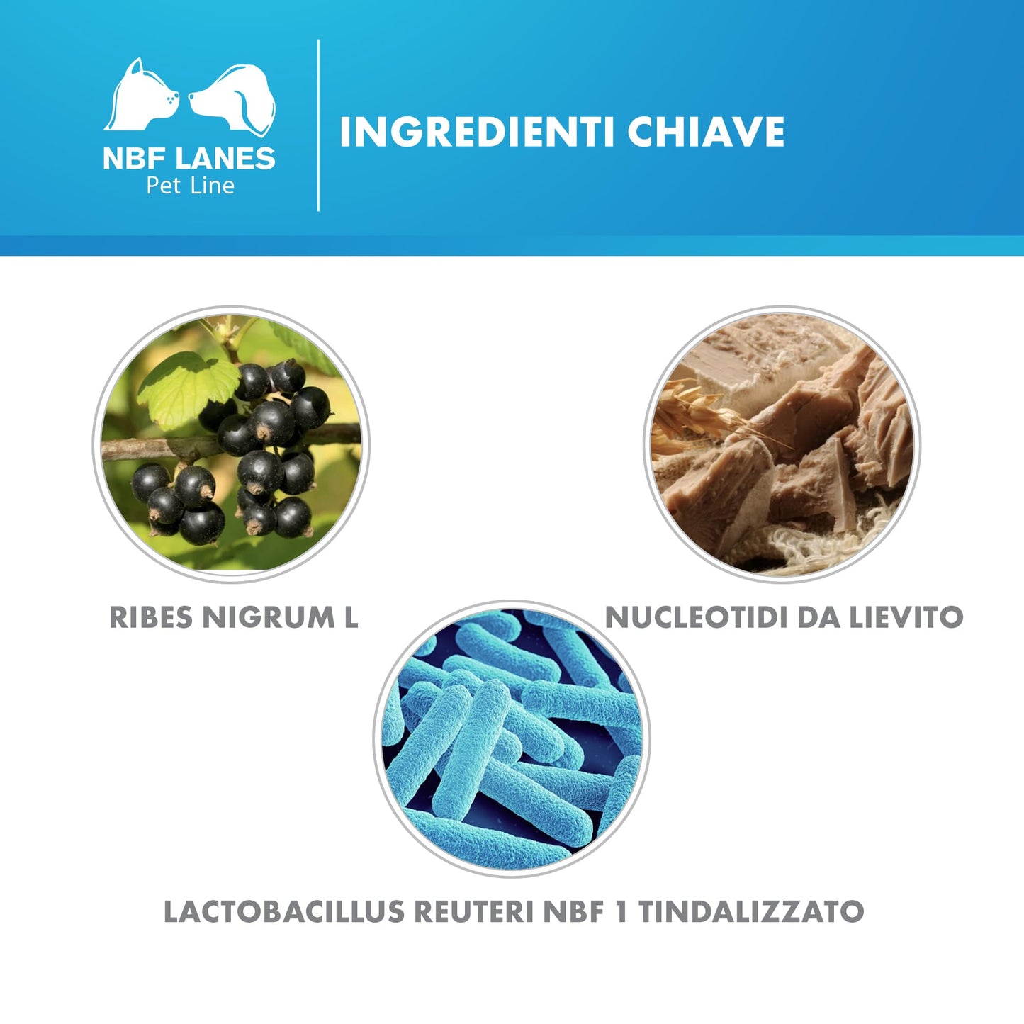 NBF Lanes | Ribes Pet Symbio Cane e Gatto, Pasta Appetibile 30 g, Supporta la Normale Regolarità dell’Asse Cute-Intestino.