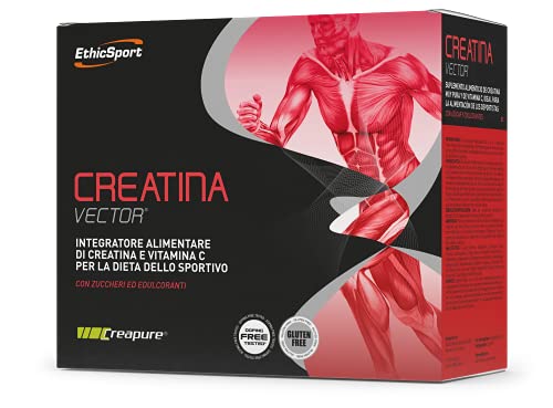 EthicSport - Creatina Vector - Confezione da 20 buste x 8 g - Integratore alimentare di Creatina e Vitamina C per la dieta dello sportivo
