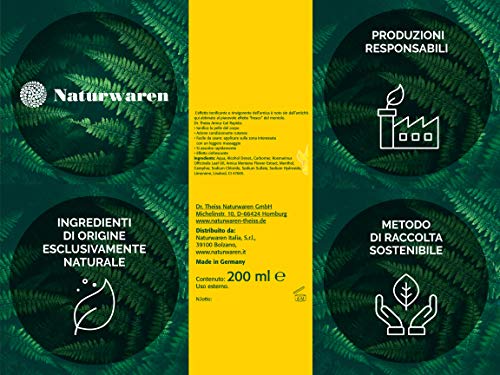 Dr Theiss Gel Arnica Canfora Olio di Rosmarino Mentolo 200 ml. Ideale per massaggio rapido. Oli essenziali effetto crioterapia rinfrescante rassodante per sollievo muscoli e articolazioni