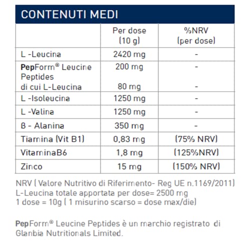 Ramtech Hydro - Barattolo da 250 gr - Gusto: arancia - Integratore alimentare di amminoacidi ramificati solubili per la dieta dello sportivo,. Aiuta a nutrire il muscolo e ridurre i tempi di recupero
