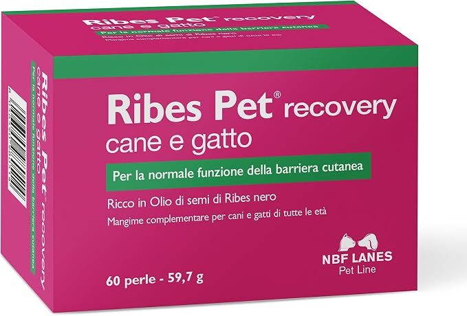 NBF Lanes Currant Pet Recovery — 60 perle